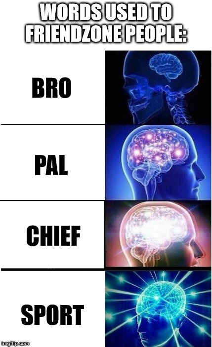 [ HEARTACHE INTENSIFIES ] | WORDS USED TO FRIENDZONE PEOPLE:; BRO; PAL; CHIEF; SPORT | image tagged in memes,expanding brain,friendzone | made w/ Imgflip meme maker