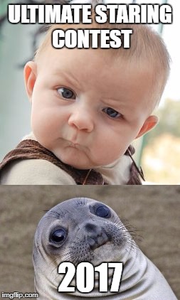 Staring Contest | ULTIMATE STARING CONTEST; 2017 | image tagged in memes,funny,staring,contest | made w/ Imgflip meme maker