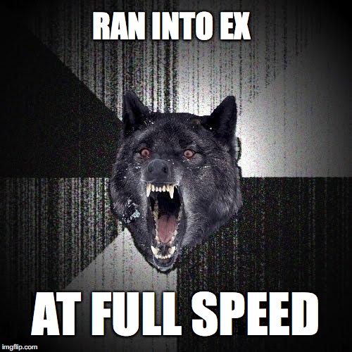 Insanity Wolf | RAN INTO EX; AT FULL SPEED | image tagged in memes,insanity wolf | made w/ Imgflip meme maker