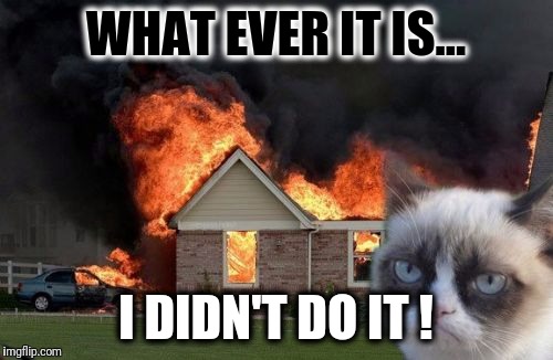 Burn Kitty Meme | WHAT EVER IT IS... I DIDN'T DO IT ! | image tagged in memes,burn kitty,grumpy cat | made w/ Imgflip meme maker