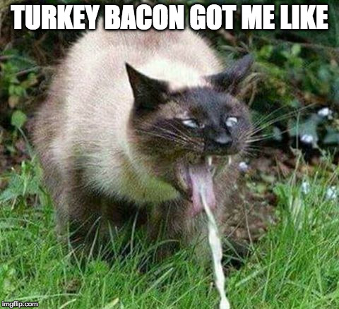Pretty much | TURKEY BACON GOT ME LIKE | image tagged in cat puke,turkey bacon,iwanttobebacon,iwanttobebaconcom | made w/ Imgflip meme maker