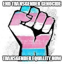 Transgender Equality Now | END TRANSGENDER GENOCIDE; TRANSGENDER EQUALITY NOW | image tagged in transgender equality now | made w/ Imgflip meme maker