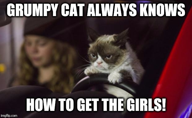 Grumpy Cat Driving | GRUMPY CAT ALWAYS KNOWS; HOW TO GET THE GIRLS! | image tagged in grumpy cat driving | made w/ Imgflip meme maker