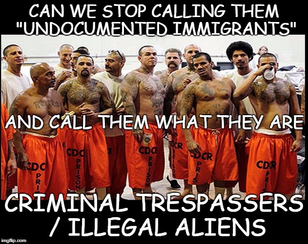 Illegal Aliens for Real | CAN WE STOP CALLING THEM "UNDOCUMENTED IMMIGRANTS"; AND CALL THEM WHAT THEY ARE; CRIMINAL TRESPASSERS / ILLEGAL ALIENS | image tagged in illegal aliens for real | made w/ Imgflip meme maker