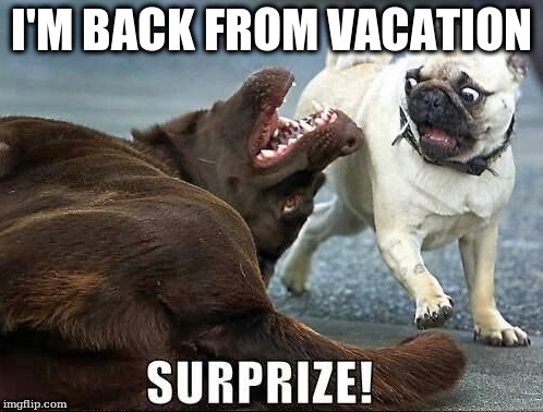 I'M BACK FROM VACATION | made w/ Imgflip meme maker