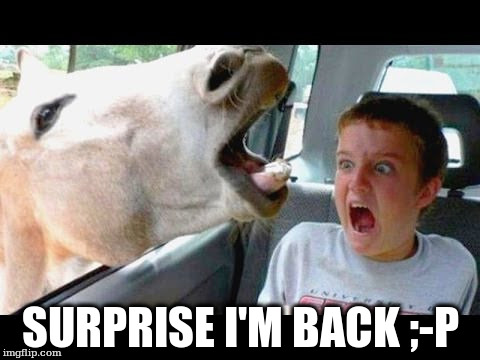 SURPRISE I'M BACK ;-P | made w/ Imgflip meme maker