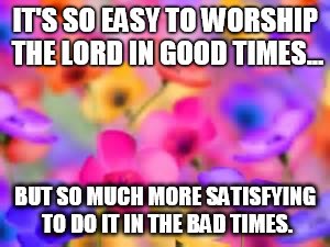 flowers | IT'S SO EASY TO WORSHIP THE LORD IN GOOD TIMES... BUT SO MUCH MORE SATISFYING TO DO IT IN THE BAD TIMES. | image tagged in flowers | made w/ Imgflip meme maker