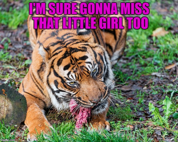 I'M SURE GONNA MISS THAT LITTLE GIRL TOO | made w/ Imgflip meme maker