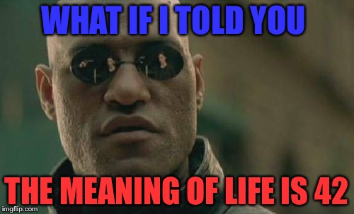 Matrix Morpheus Meme | WHAT IF I TOLD YOU; THE MEANING OF LIFE IS 42 | image tagged in memes,matrix morpheus | made w/ Imgflip meme maker