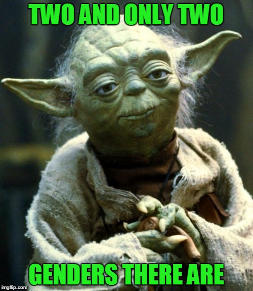 Star Wars Yoda Meme | TWO AND ONLY TWO GENDERS THERE ARE | image tagged in memes,star wars yoda | made w/ Imgflip meme maker
