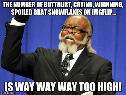Too Damn High Meme | THE NUMBER OF BUTTHURT, CRYING, WHINNING, SPOILED BRAT SNOWFLAKES ON IMGFLIP... IS WAY WAY WAY TOO HIGH! | image tagged in memes,too damn high | made w/ Imgflip meme maker