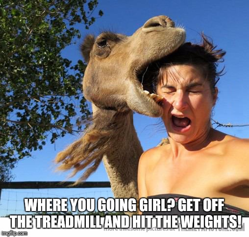 Humpday girl | WHERE YOU GOING GIRL? GET OFF THE TREADMILL AND HIT THE WEIGHTS! | image tagged in memes,hump day camel,gym | made w/ Imgflip meme maker