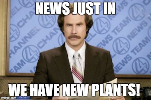 Ron Burgundy Meme | NEWS JUST IN; WE HAVE NEW PLANTS! | image tagged in memes,ron burgundy | made w/ Imgflip meme maker