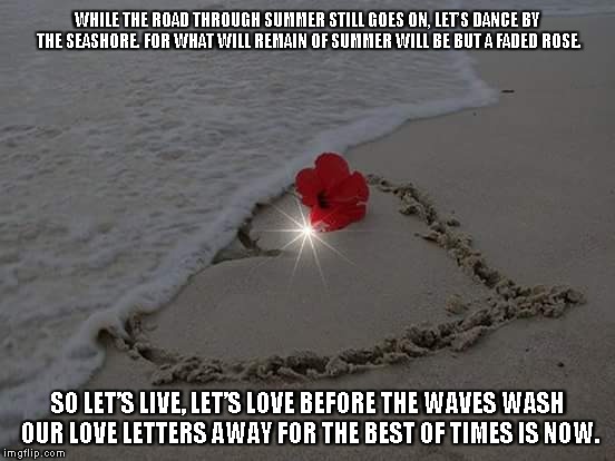 The Best of Times | WHILE THE ROAD THROUGH SUMMER STILL GOES ON, LET’S DANCE BY THE SEASHORE. FOR WHAT WILL REMAIN OF SUMMER WILL BE BUT A FADED ROSE. SO LET’S LIVE, LET’S LOVE BEFORE THE WAVES WASH OUR LOVE LETTERS AWAY FOR THE BEST OF TIMES IS NOW. | image tagged in summer,roses,love,love letters | made w/ Imgflip meme maker