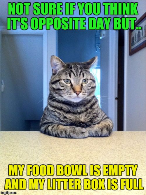 Take A Seat Cat Meme | NOT SURE IF YOU THINK IT'S OPPOSITE DAY BUT.. MY FOOD BOWL IS EMPTY AND MY LITTER BOX IS FULL | image tagged in memes,take a seat cat | made w/ Imgflip meme maker