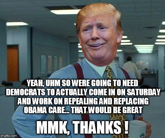That Would Be Great | YEAH, UHM SO WERE GOING TO NEED DEMOCRATS TO ACTUALLY COME IN ON SATURDAY AND WORK ON REPEALING AND REPLACING OBAMA CARE... THAT WOULD BE GREAT; MMK, THANKS ! | image tagged in memes,that would be great | made w/ Imgflip meme maker
