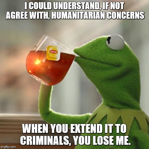 But That's None Of My Business Meme | I COULD UNDERSTAND, IF NOT AGREE WITH, HUMANITARIAN CONCERNS WHEN YOU EXTEND IT TO CRIMINALS, YOU LOSE ME. | image tagged in memes,but thats none of my business,kermit the frog | made w/ Imgflip meme maker