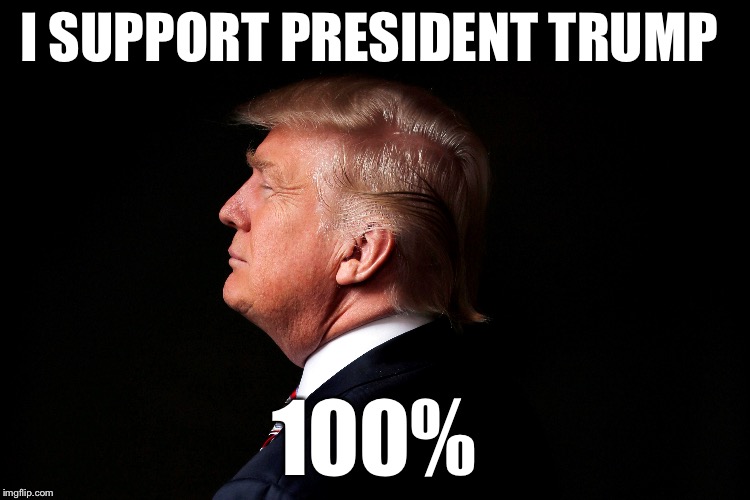 I support our President | I SUPPORT PRESIDENT TRUMP; 100% | image tagged in donald trump | made w/ Imgflip meme maker