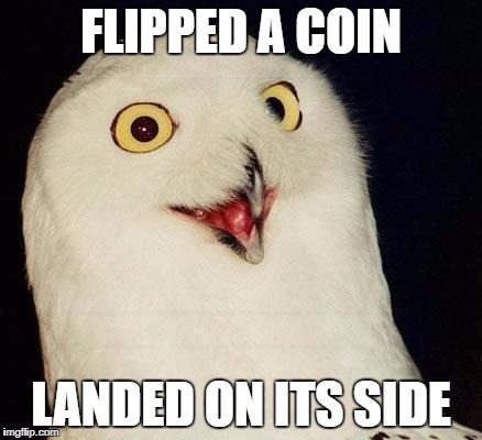 O RLY? | FLIPPED A COIN; LANDED ON ITS SIDE | image tagged in o rly | made w/ Imgflip meme maker