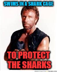 Chuck Norris | SWIMS IN A SHARK CAGE; TO PROTECT THE SHARKS | image tagged in chuck norris | made w/ Imgflip meme maker