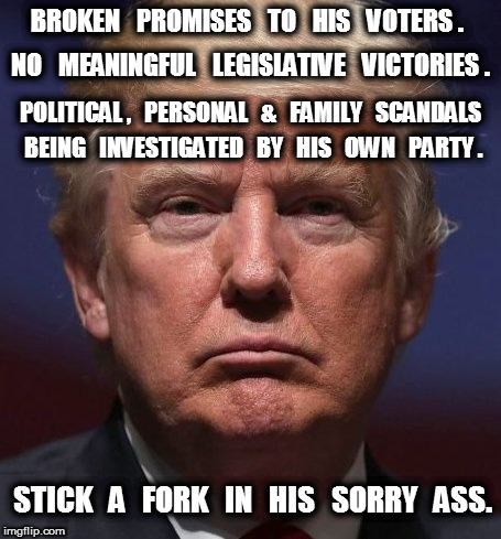 Stick a Fork in Trump's Sorry Ass | BROKEN   PROMISES   TO   HIS   VOTERS . NO   MEANINGFUL   LEGISLATIVE   VICTORIES . POLITICAL ,   PERSONAL   &   FAMILY   SCANDALS; BEING   INVESTIGATED   BY   HIS   OWN   PARTY . STICK   A   FORK   IN   HIS   SORRY   ASS. | image tagged in trump | made w/ Imgflip meme maker