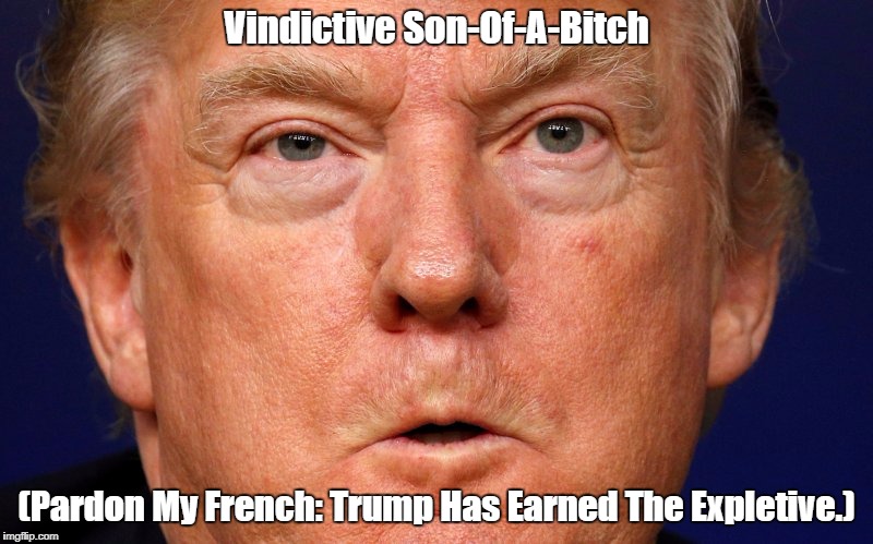 "Vindictive Son-Of-A-Bitch" | Vindictive Son-Of-A-B**ch (Pardon My French: Trump Has Earned The Expletive.) | image tagged in devious donald,deplorable donald,despicable donald,dishonest donald,despotic donald,the buck stops anywhere but here | made w/ Imgflip meme maker