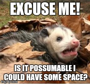 Fun With Possum Puns | EXCUSE ME! IS IT POSSUMABLE I COULD HAVE SOME SPACE? | image tagged in possum n chill,possums | made w/ Imgflip meme maker