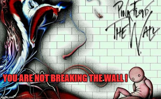 Pink Floyd All Month | YOU ARE NOT BREAKING THE WALL ! | image tagged in pink floyd all month | made w/ Imgflip meme maker