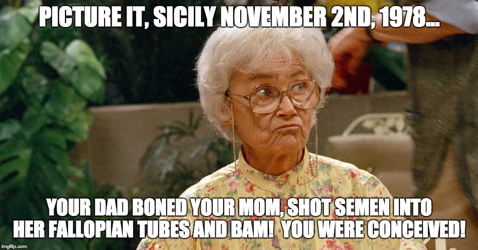 PICTURE IT, SICILY NOVEMBER 2ND, 1978... YOUR DAD BONED YOUR MOM, SHOT SEMEN INTO HER FALLOPIAN TUBES AND BAM!  YOU WERE CONCEIVED! | image tagged in picture itsicily | made w/ Imgflip meme maker