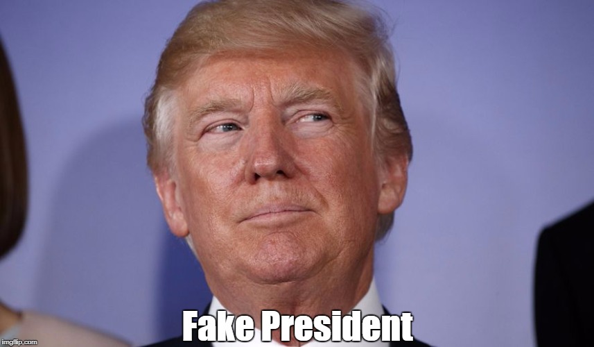 "Fake President" | Fake President | image tagged in deplorable donald,despicable donald,dishonest donald,despotic donald,mafia don | made w/ Imgflip meme maker