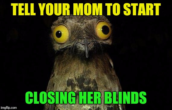 Weird Stuff I Do Potoo Meme | TELL YOUR MOM TO START; CLOSING HER BLINDS | image tagged in memes,weird stuff i do potoo | made w/ Imgflip meme maker