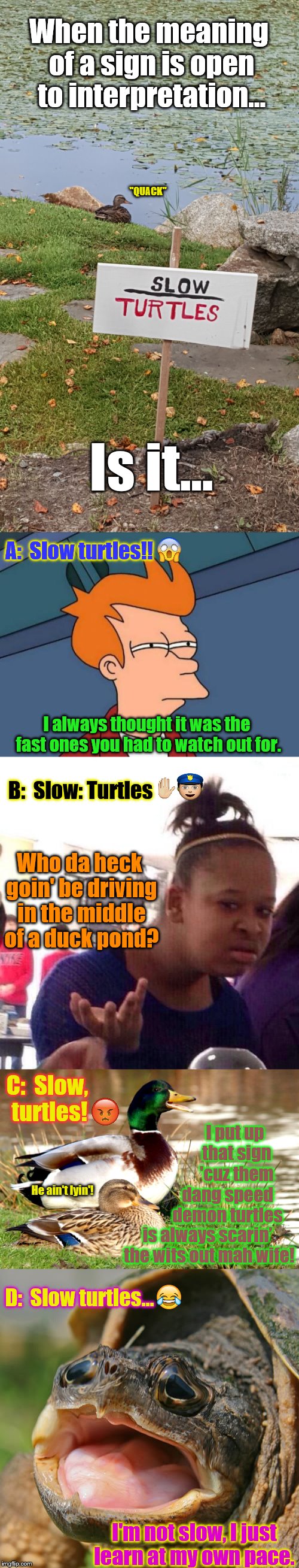 World’s first ‘choose-your-own-ending’ meme | When the meaning of a sign is open to interpretation…; "QUACK"; Is it... A:  Slow turtles!! I always thought it was the fast ones you had to watch out for. B:  Slow: Turtles; Who da heck goin' be driving in the middle of a duck pond? C:  Slow, turtles! I put up that sign 'cuz them; He ain't lyin'! dang speed demon turtles; is always scarin’ the wits out mah wife! D:  Slow turtles... I'm not slow, I just learn at my own pace. | image tagged in memes,funny,animals,phunny,funny signs,funny animals | made w/ Imgflip meme maker