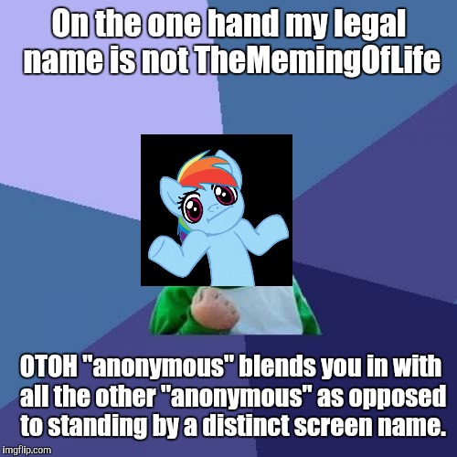Success Kid Meme | On the one hand my legal name is not TheMemingOfLife OTOH "anonymous" blends you in with all the other "anonymous" as opposed to standing by | image tagged in memes,success kid | made w/ Imgflip meme maker