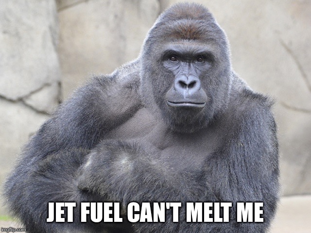 harambe | JET FUEL CAN'T MELT ME | image tagged in harambe | made w/ Imgflip meme maker