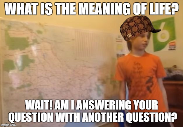 Skits, Bits and Nits | WHAT IS THE MEANING OF LIFE? WAIT! AM I ANSWERING YOUR QUESTION WITH ANOTHER QUESTION? | image tagged in scumbag,skits bits and nits | made w/ Imgflip meme maker