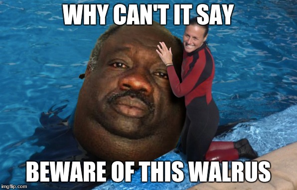 WHY CAN'T IT SAY BEWARE OF THIS WALRUS | made w/ Imgflip meme maker