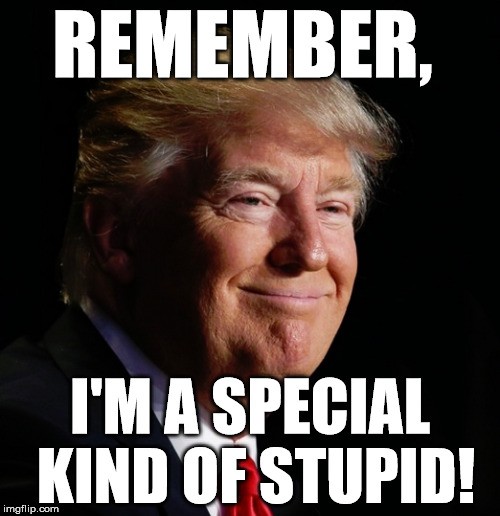 trump
 | REMEMBER, I'M A SPECIAL KIND OF STUPID! | image tagged in donald trump | made w/ Imgflip meme maker