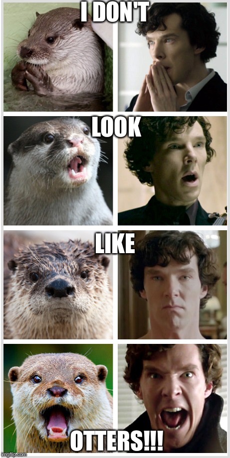 Sherlock - Otters Who Look Like Benedict Cumberbatch | I DON'T; LOOK; LIKE; OTTERS!!! | image tagged in sherlock - otters who look like benedict cumberbatch | made w/ Imgflip meme maker