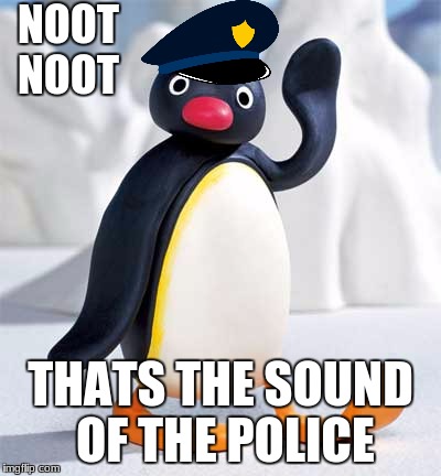 noot noot thats the sound of the police | NOOT NOOT; THATS THE SOUND OF THE POLICE | image tagged in noot noot | made w/ Imgflip meme maker