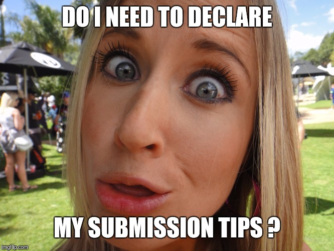 Memes | DO I NEED TO DECLARE MY SUBMISSION TIPS ? | image tagged in memes | made w/ Imgflip meme maker