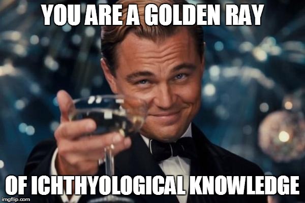 Leonardo Dicaprio Cheers Meme | YOU ARE A GOLDEN RAY OF ICHTHYOLOGICAL KNOWLEDGE | image tagged in memes,leonardo dicaprio cheers | made w/ Imgflip meme maker