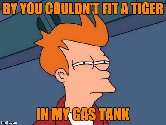 Futurama Fry Meme | BY YOU COULDN'T FIT A TIGER IN MY GAS TANK | image tagged in memes,futurama fry | made w/ Imgflip meme maker