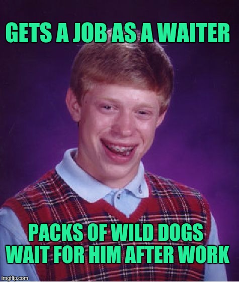 Bad Luck Brian | GETS A JOB AS A WAITER; PACKS OF WILD DOGS WAIT FOR HIM AFTER WORK | image tagged in memes,bad luck brian | made w/ Imgflip meme maker