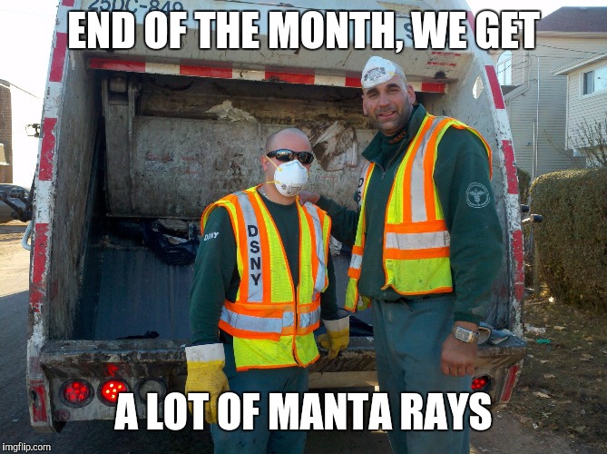 Memes, garbage | END OF THE MONTH, WE GET A LOT OF MANTA RAYS | image tagged in memes garbage | made w/ Imgflip meme maker