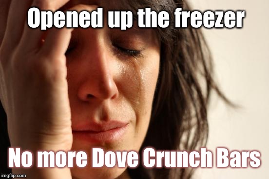 First World Problems Meme | Opened up the freezer No more Dove Crunch Bars | image tagged in memes,first world problems | made w/ Imgflip meme maker