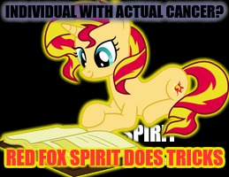 INDIVIDUAL WITH ACTUAL CANCER? RED FOX SPIRIT DOES TRICKS | made w/ Imgflip meme maker