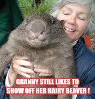 Granny | GRANNY STILL LIKES TO SHOW OFF HER HAIRY BEAVER ! | image tagged in beaver,loyalsockatxhamster,granny,funny,memes | made w/ Imgflip meme maker