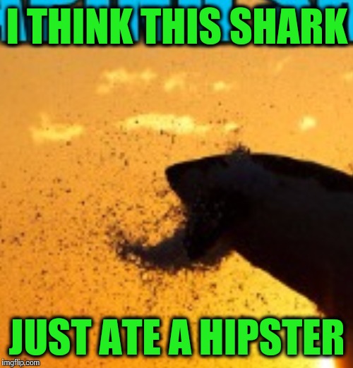 I THINK THIS SHARK JUST ATE A HIPSTER | made w/ Imgflip meme maker