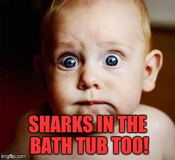 SHARKS IN THE BATH TUB TOO! | made w/ Imgflip meme maker