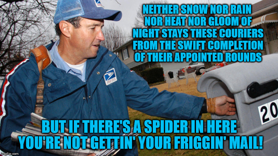 And I don't blame you, Buddy! | NEITHER SNOW NOR RAIN NOR HEAT NOR GLOOM OF NIGHT STAYS THESE COURIERS FROM THE SWIFT COMPLETION OF THEIR APPOINTED ROUNDS; BUT IF THERE'S A SPIDER IN HERE YOU'RE NOT GETTIN' YOUR FRIGGIN' MAIL! | image tagged in mailman,spiders,seems legit | made w/ Imgflip meme maker
